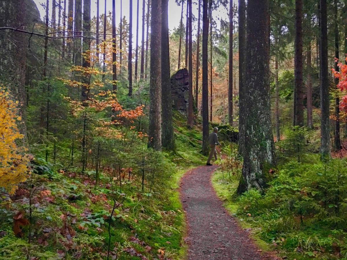 Harz Hotel Und Gaestehaus Am Bornweg Bad Sachsa Buitenkant foto